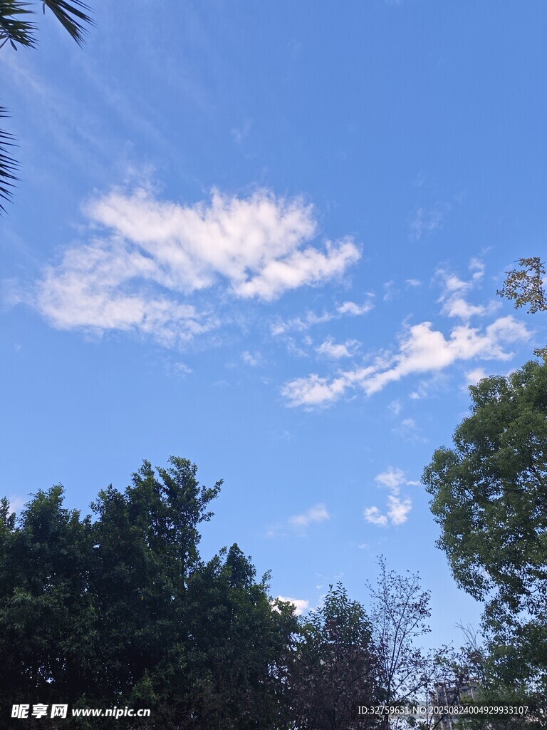 蓝天绿树间的悠悠白云
