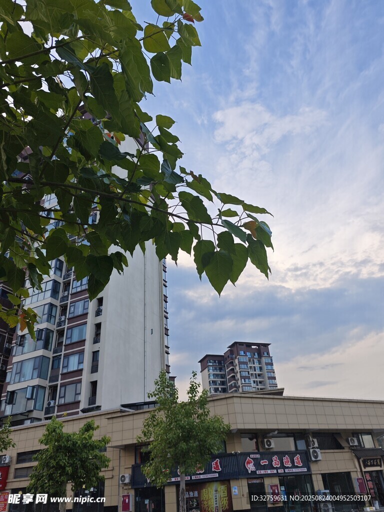 城市街边建筑与绿植景观