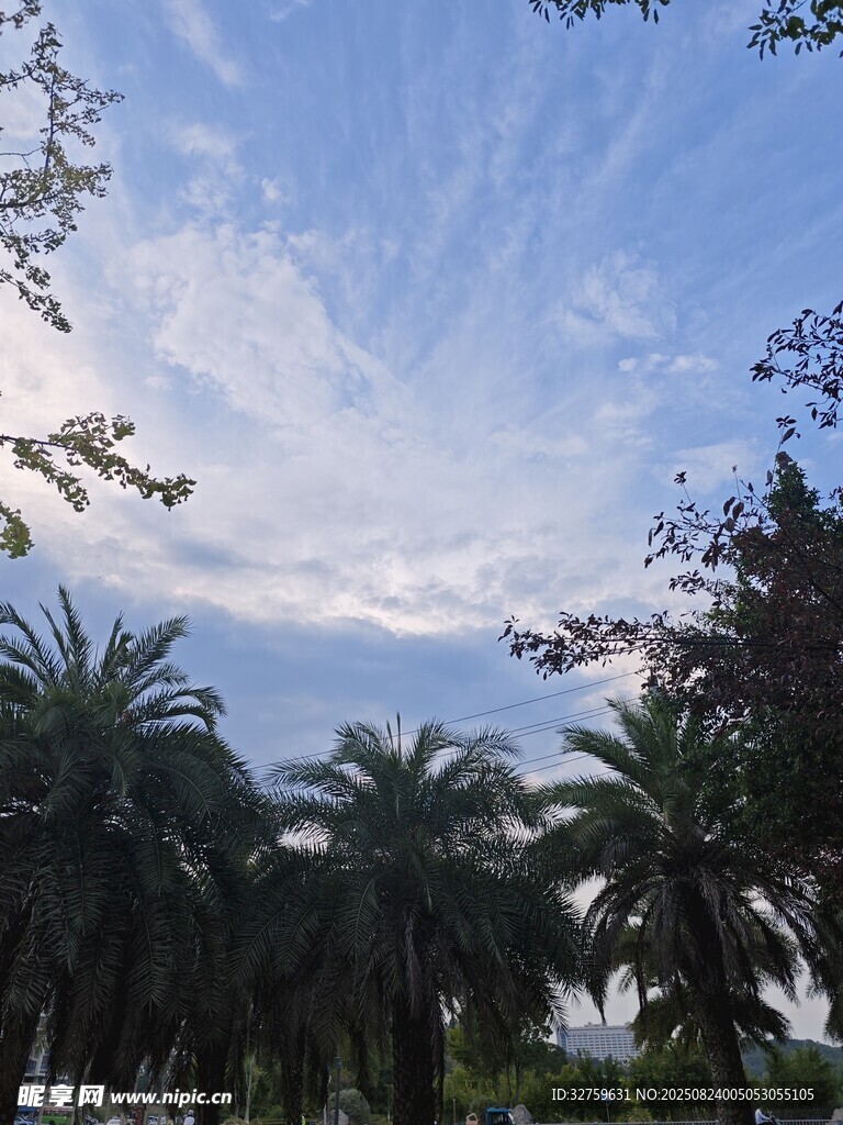 蓝天绿树间的清新景致