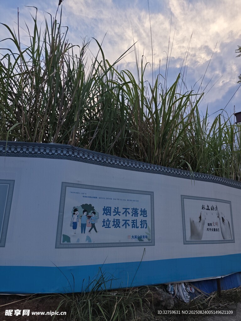草
