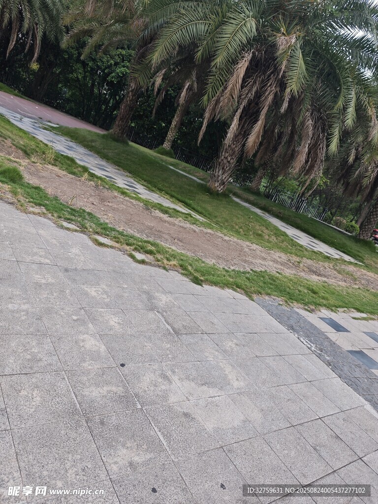 户外林荫小道景观