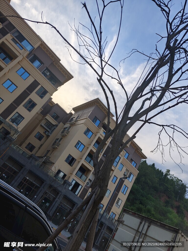 小区旁光秃树枝与建筑