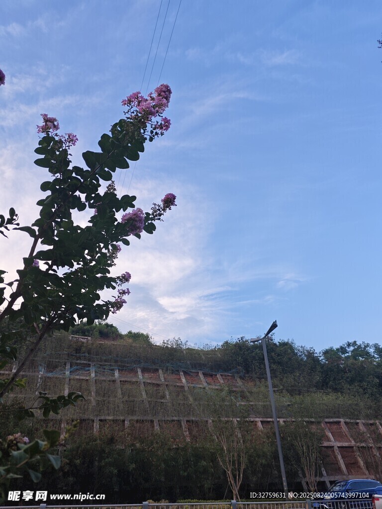 蓝天繁花下的自然景致