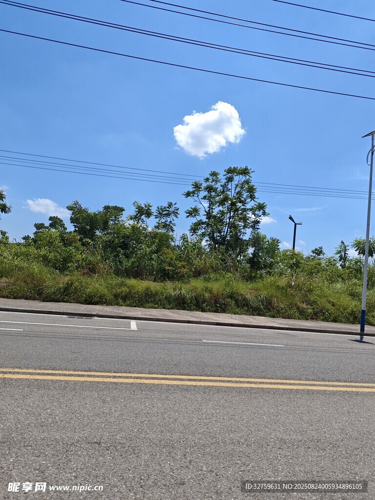 公路旁绿意与蓝天景致