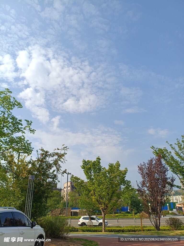 户外停车处的绿树蓝天
