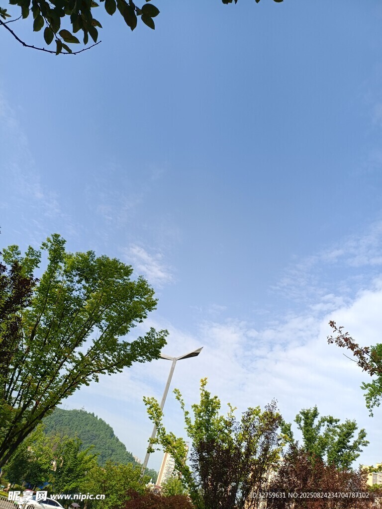 蓝天绿树间的自然景致