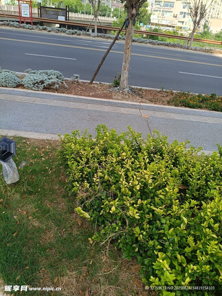路边绿植旁的维修场景