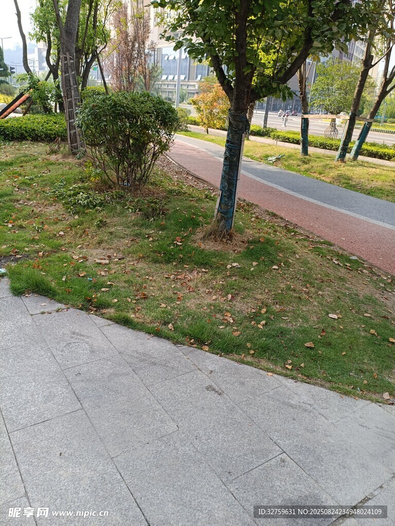 城市公园中的步道与绿植