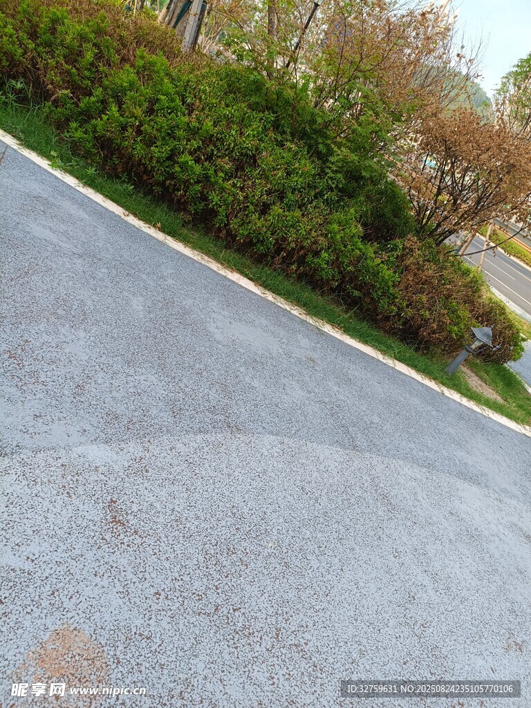 户外柏油路面与绿植景观