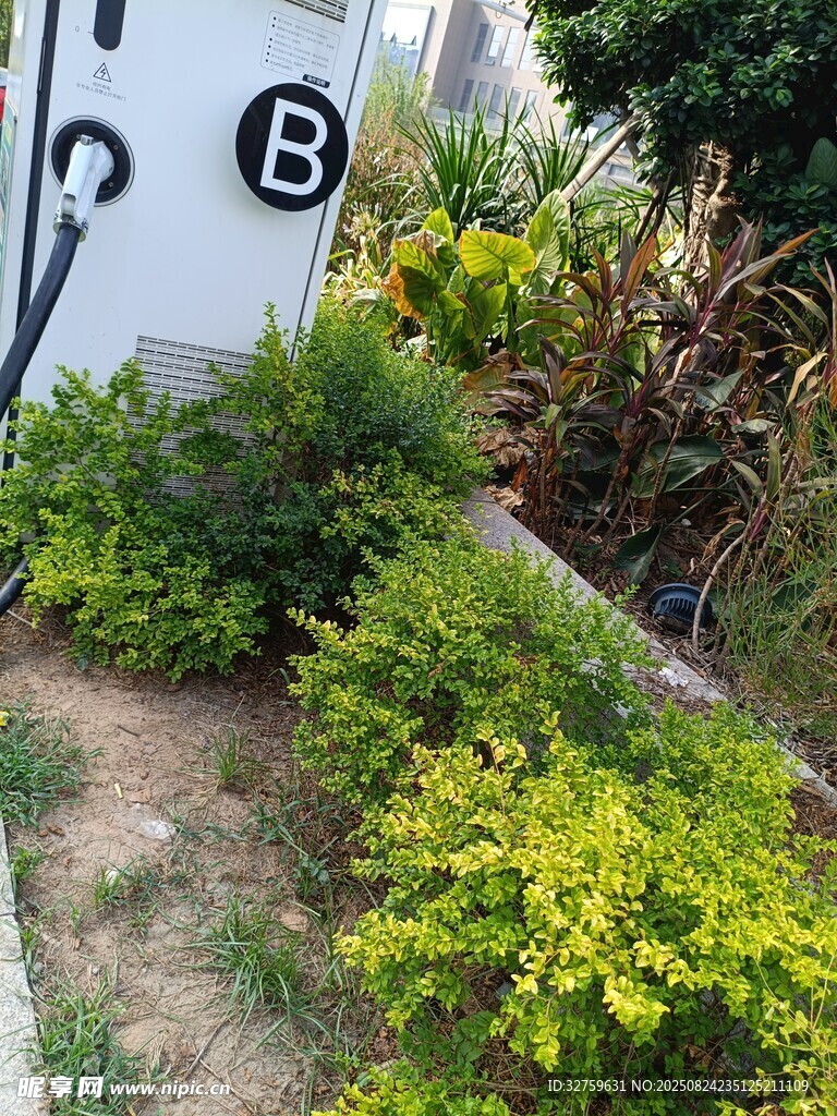 户外绿植景观一角