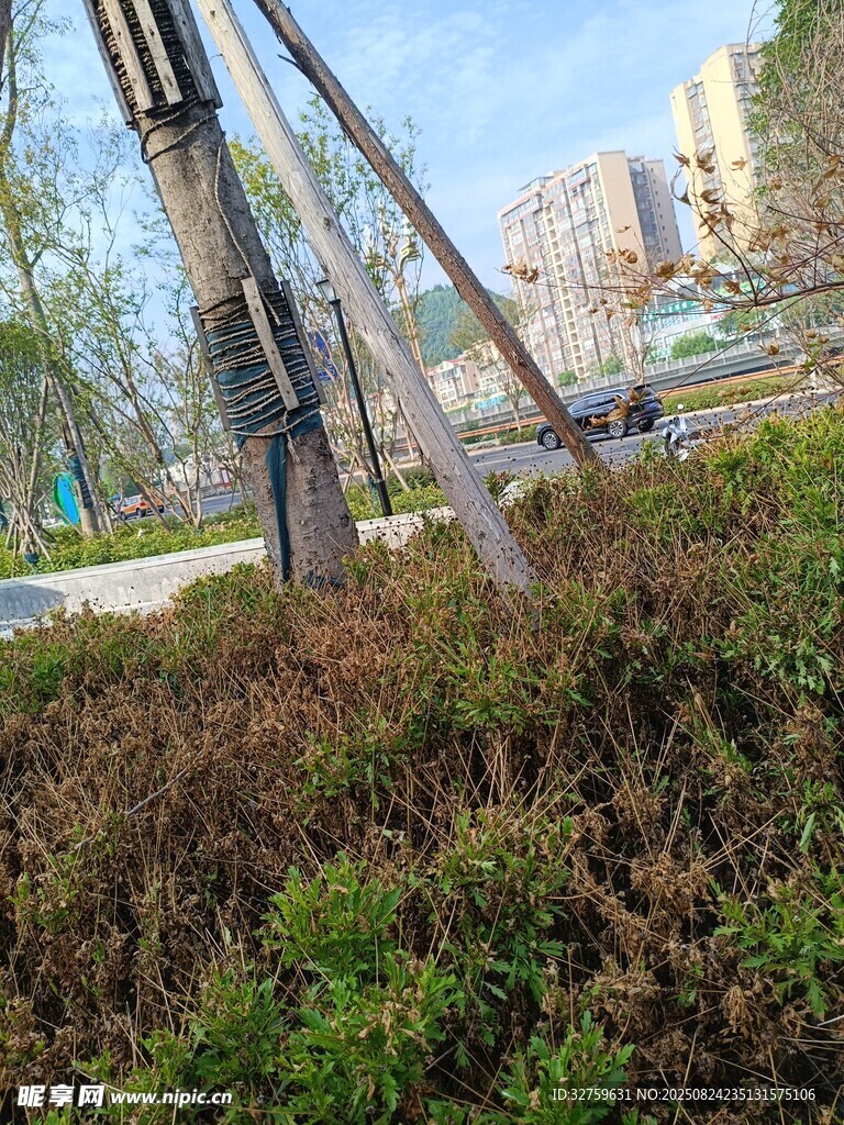 户外绿植旁的机械装置