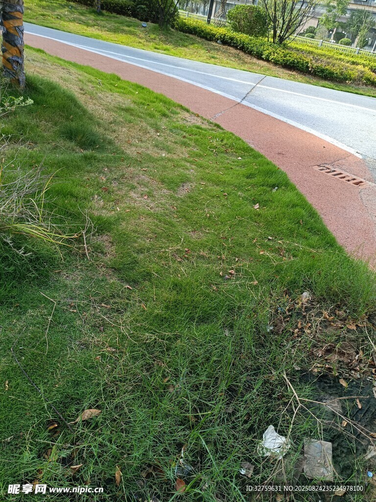 路边草地与彩色步道