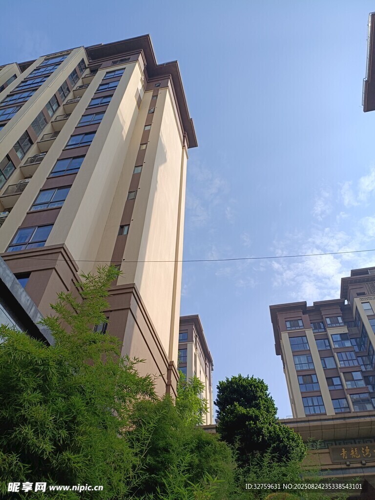 高层住宅旁的绿植景观