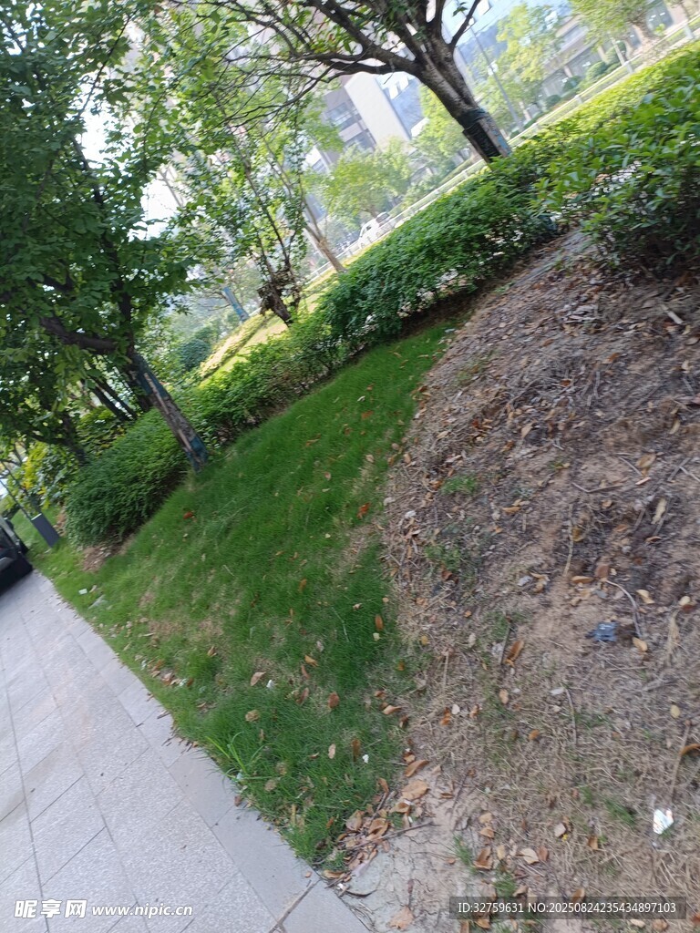路边草地旁的裸露泥土