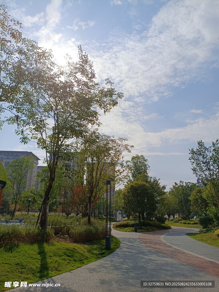 阳光洒落的静谧林荫小道