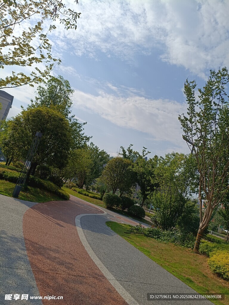 城市中静谧的林荫小路