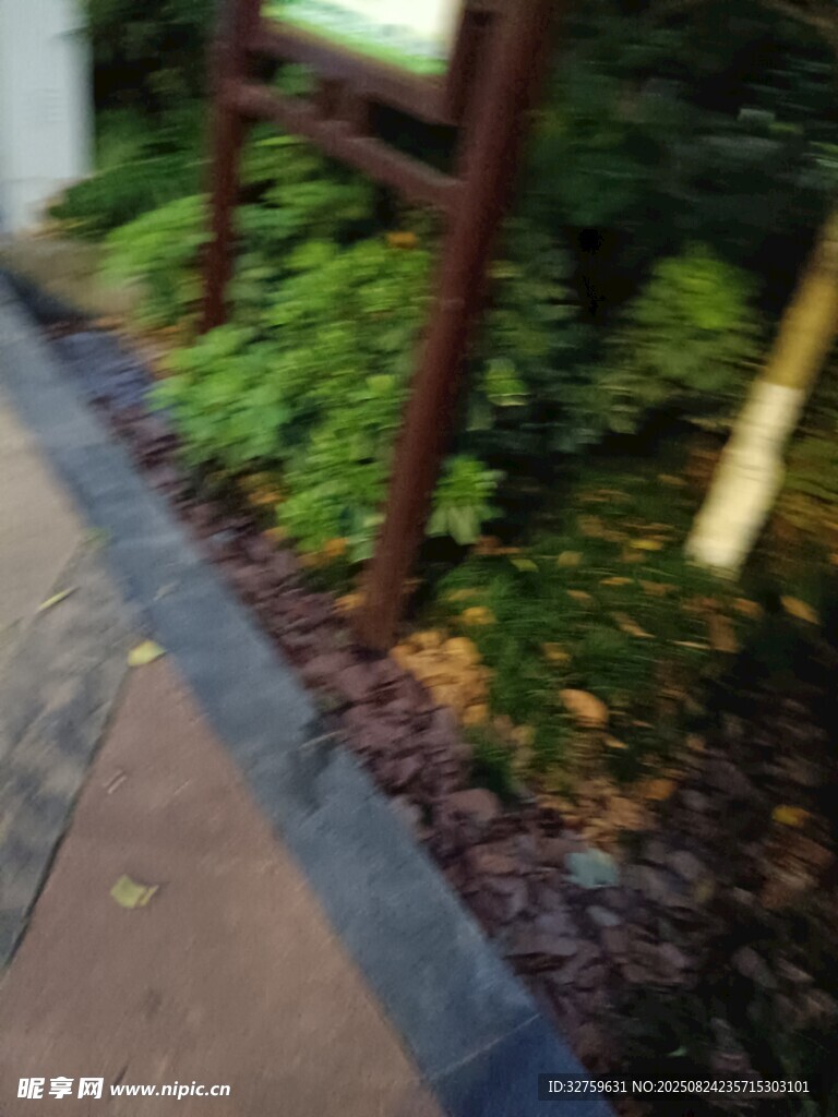 路边绿植景观