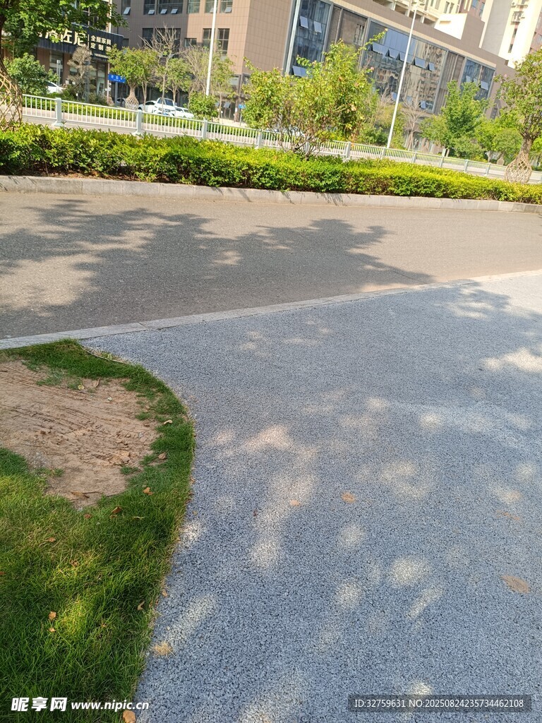 城市道路旁的绿化景观