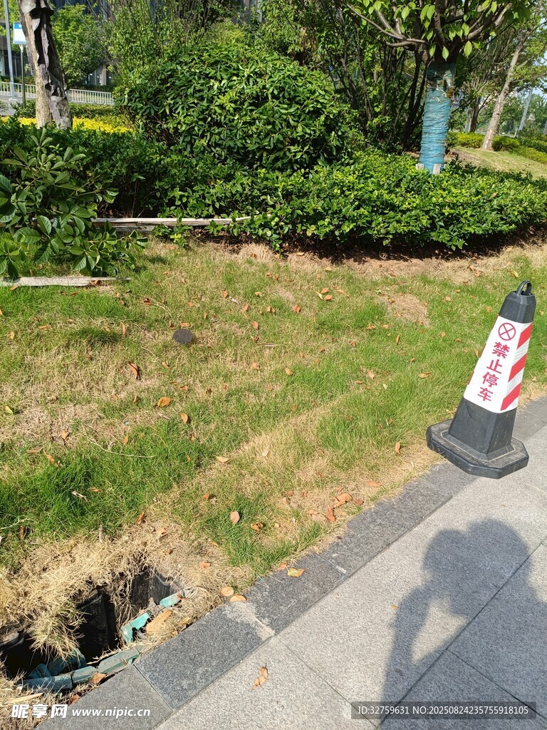 路边草地旁的交通锥