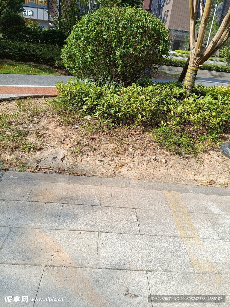 小区内的石板路与绿植