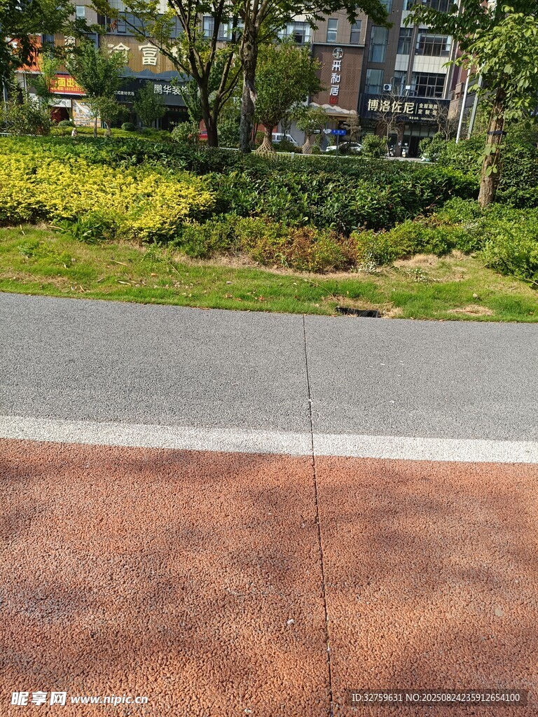 户外多彩路面与绿植景观