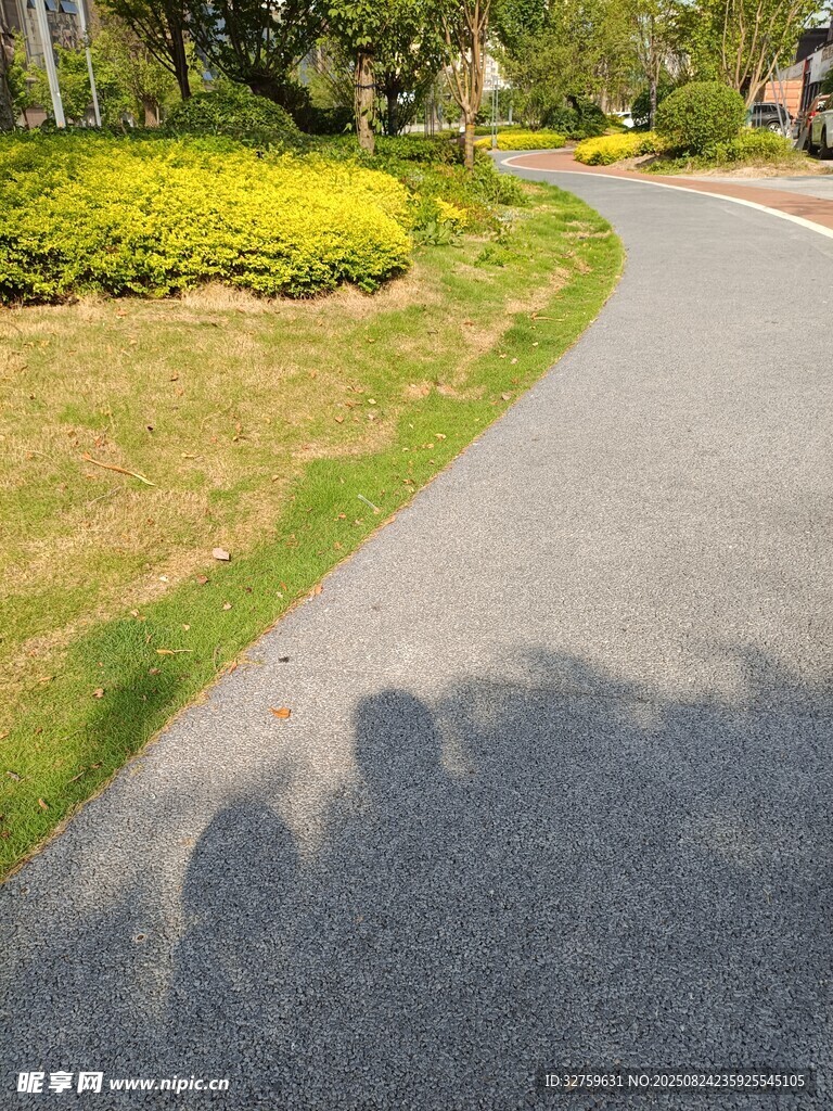 阳光洒落的静谧林间小道
