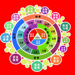 德育体系规划
