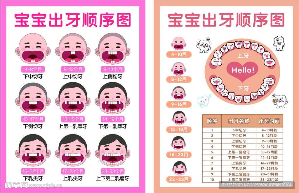 宝宝出牙顺序图