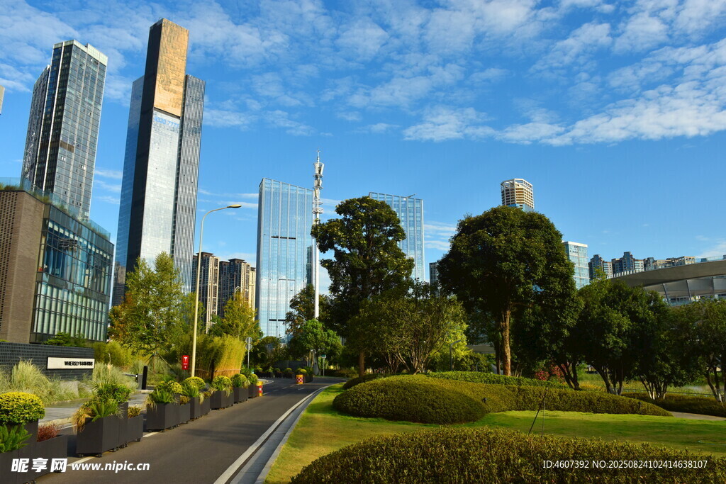 城市道路旁的摩天大楼景观