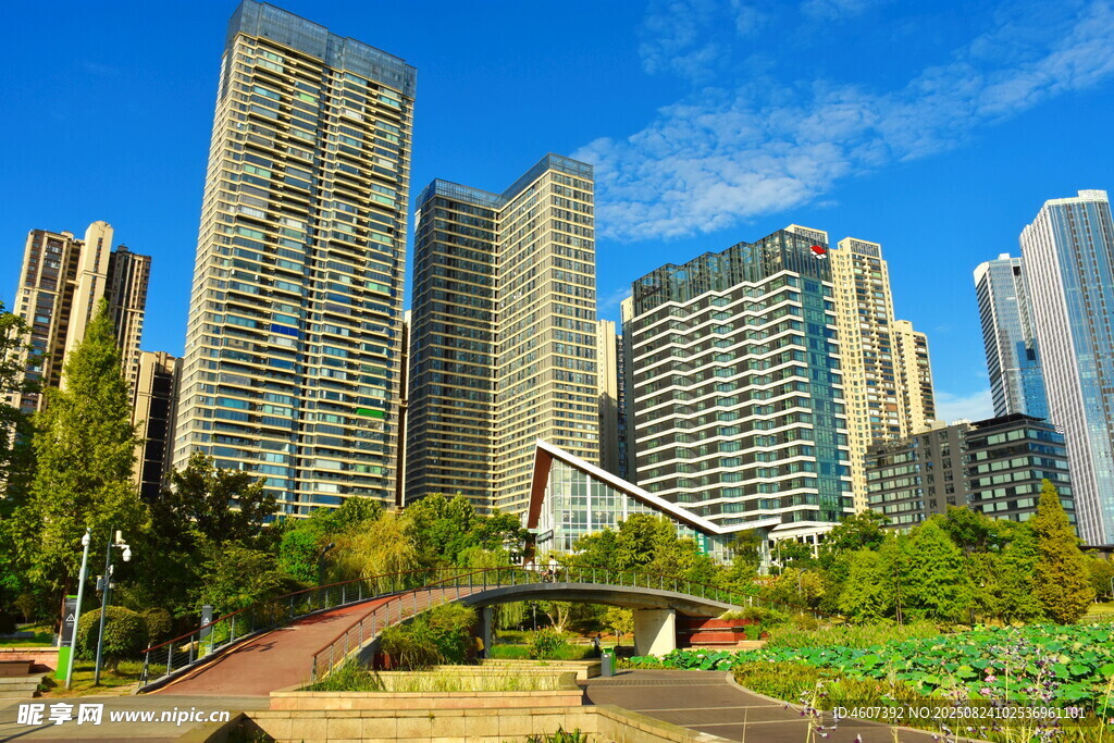城市中的绿地与高楼景观