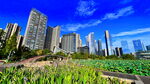 城市与田园共生的美丽景致