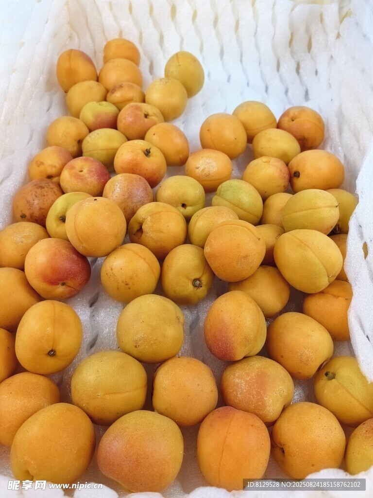 新鲜饱满的杏子堆叠在一起