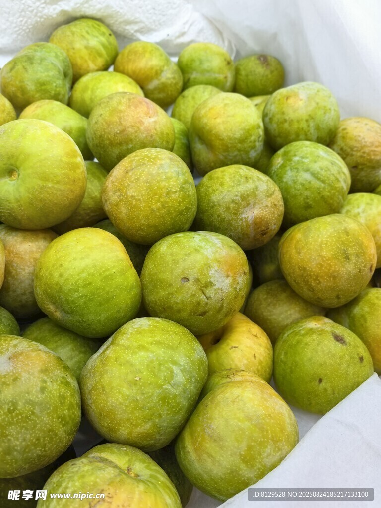 新鲜青皮无花果堆成小山