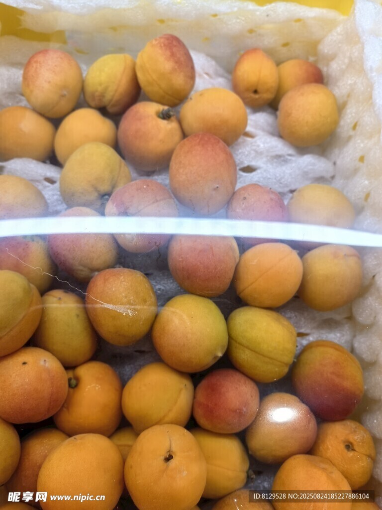 新鲜饱满的杏子