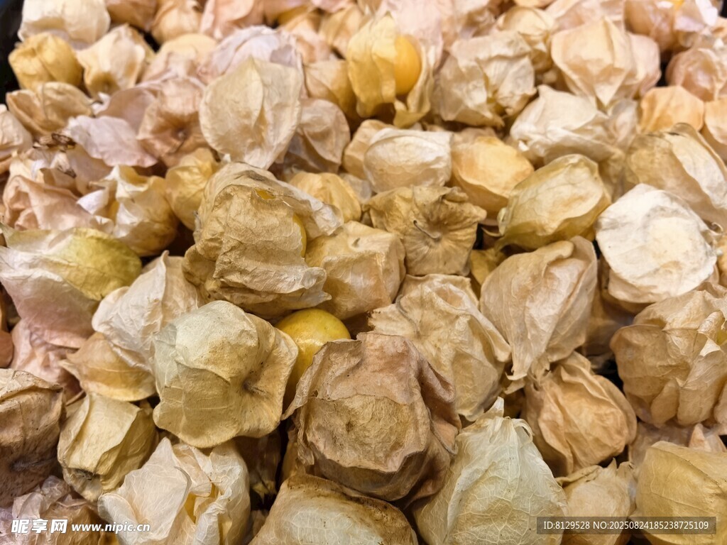 灯笼果干特写
