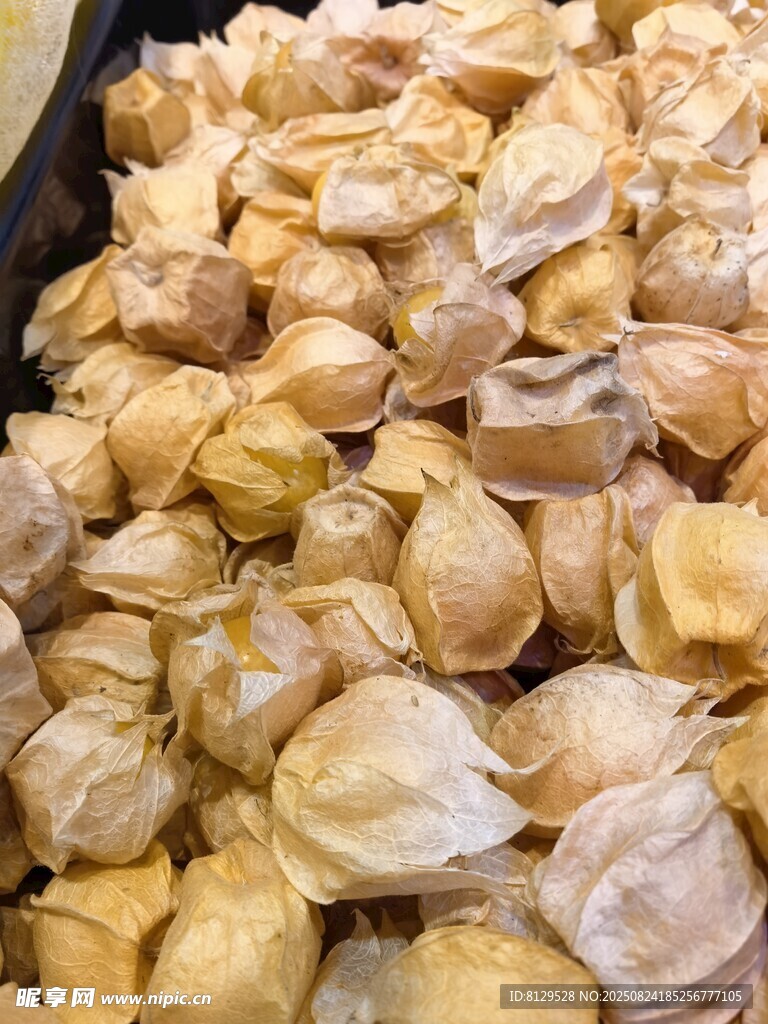 饱满酸浆果实特写