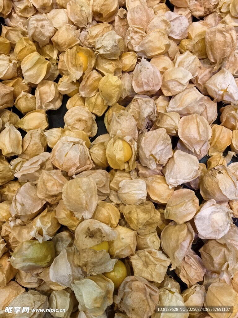 灯笼果特写