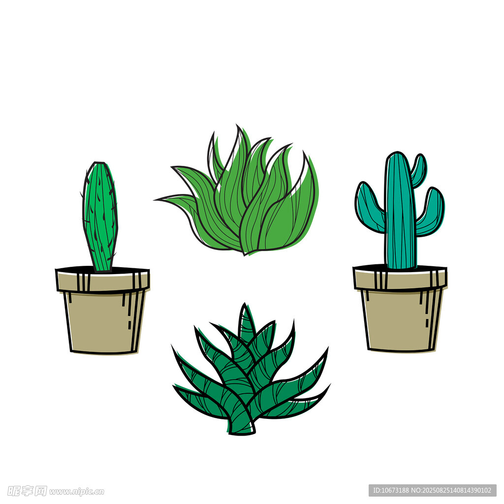 盆栽多肉植物插画