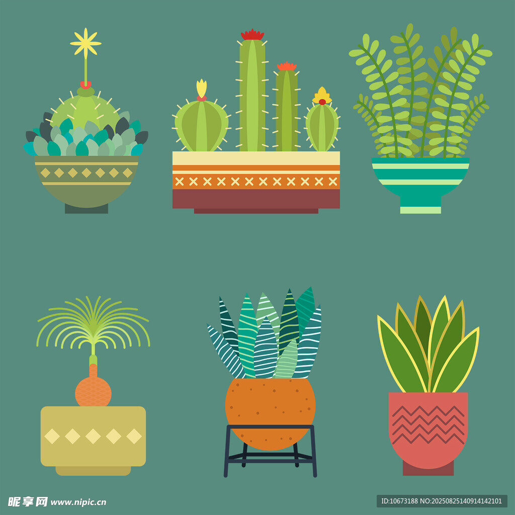 多样盆栽植物插画
