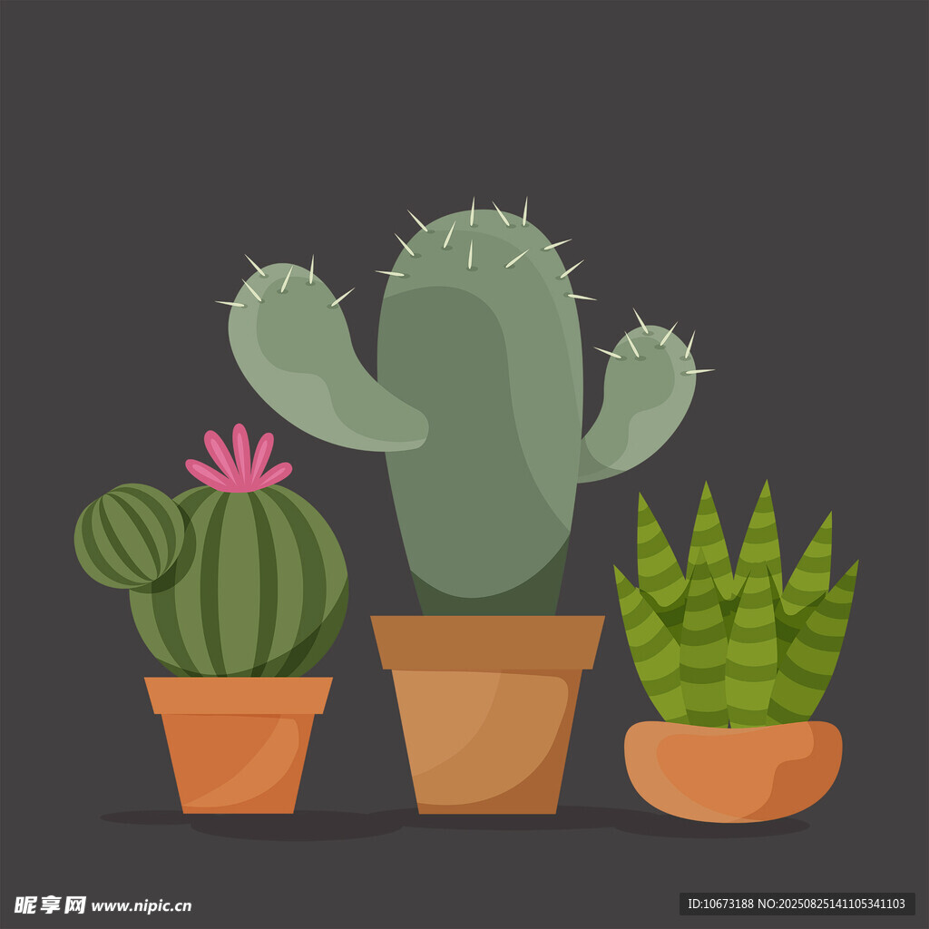 可爱盆栽仙人掌组合