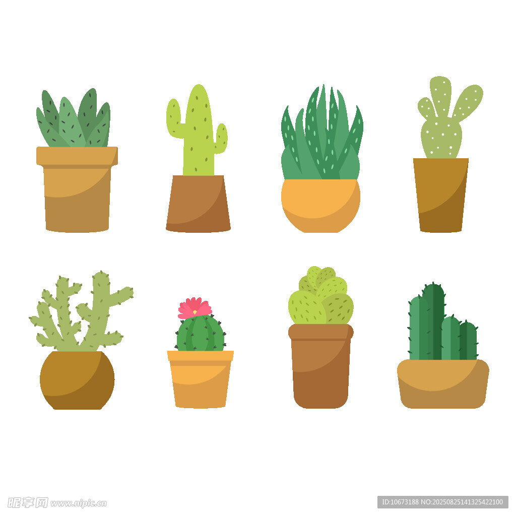 多样盆栽植物插画