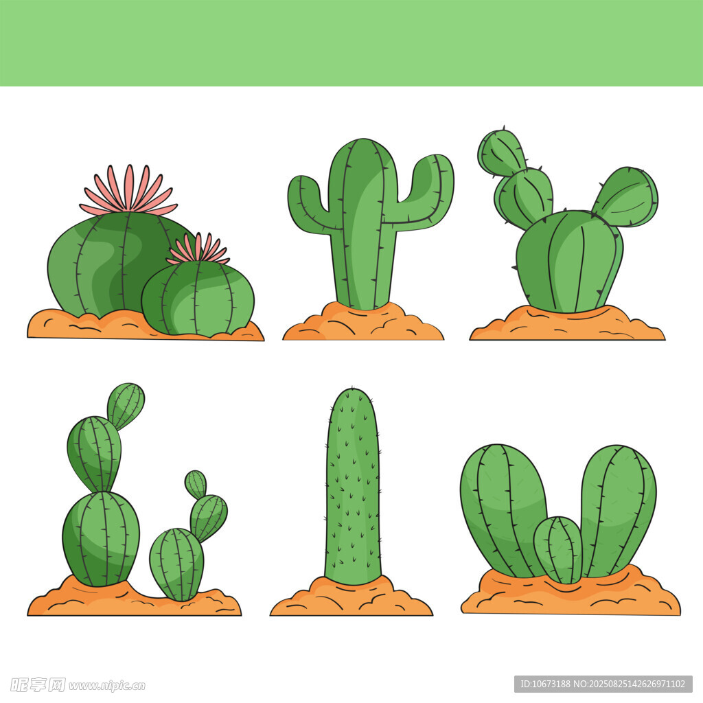 多样仙人掌插画