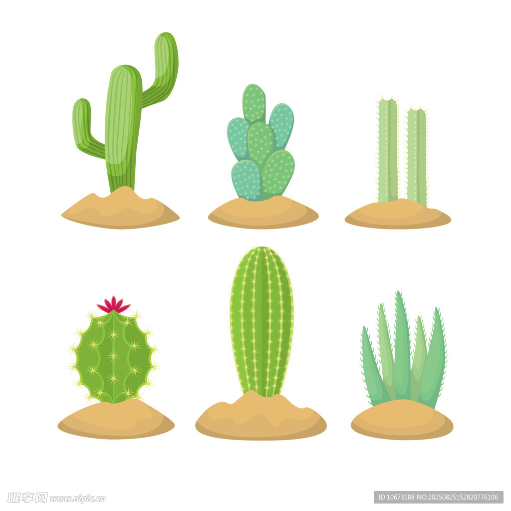 可爱仙人掌植物插画
