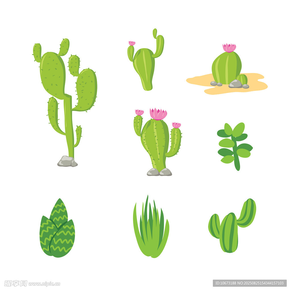 多样仙人掌植物矢量插画