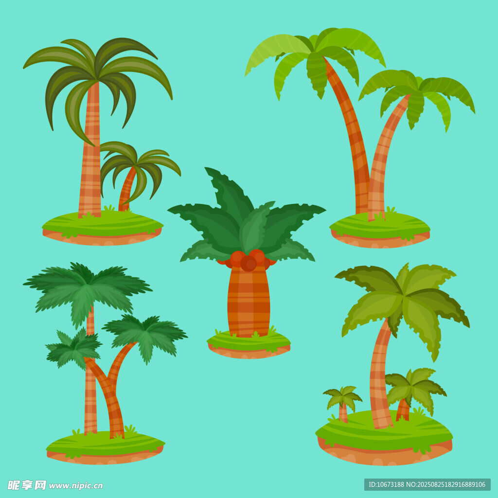多样热带棕榈树插画