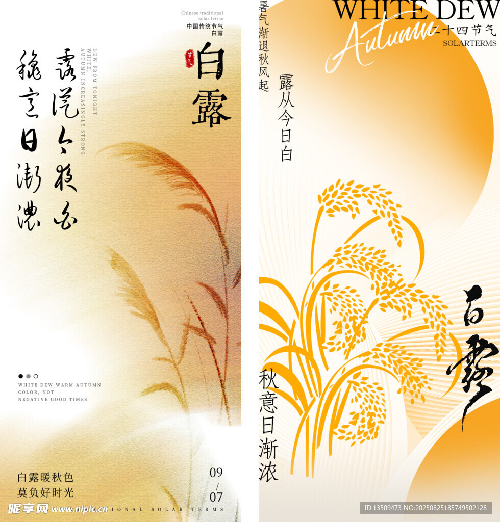 白露