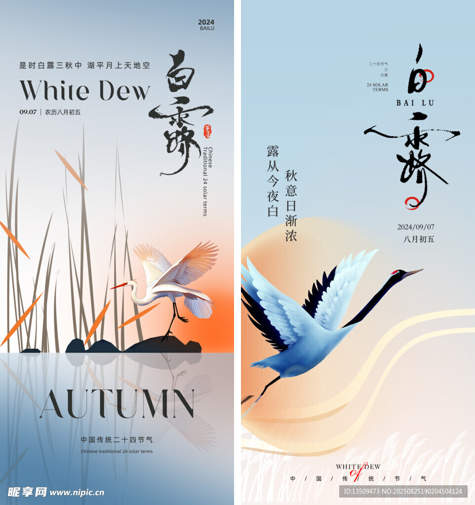 白露