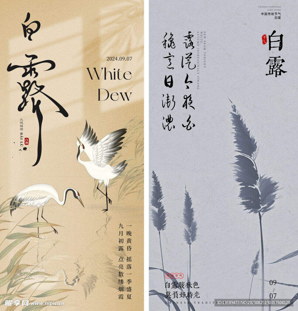 白露