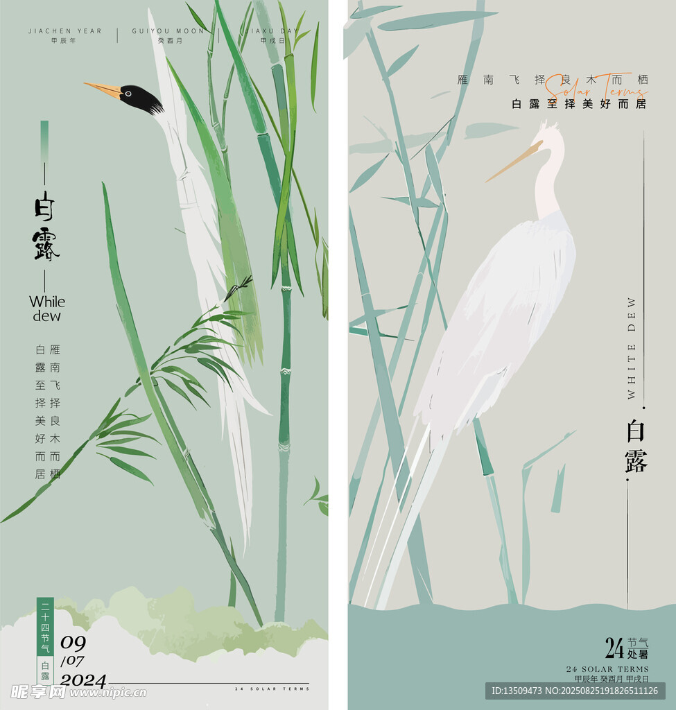 白露