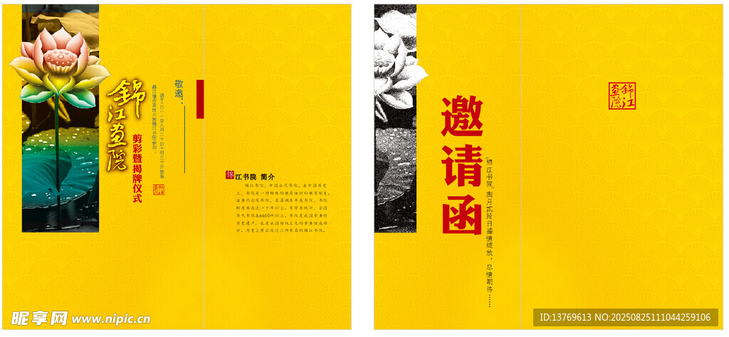 黄色封面书籍展示